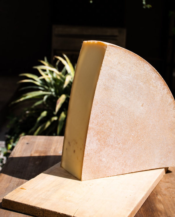 Gruyère AOP