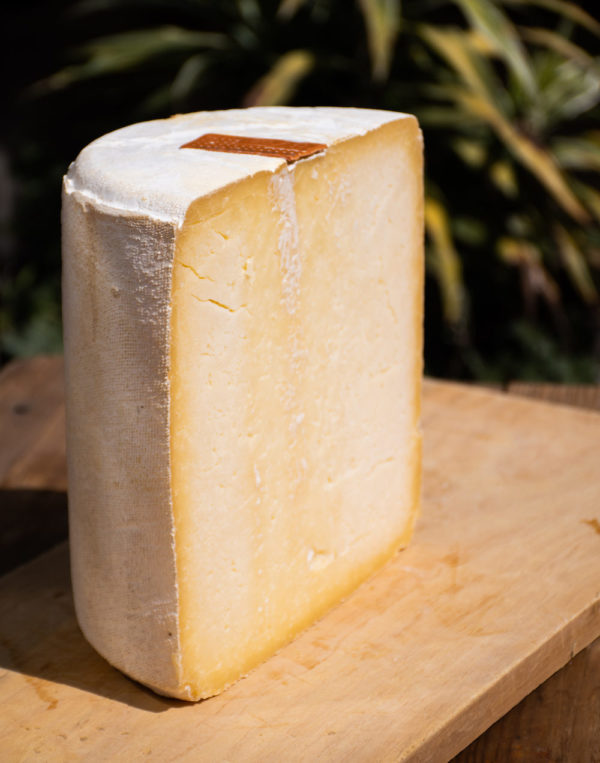 Cantal Joven